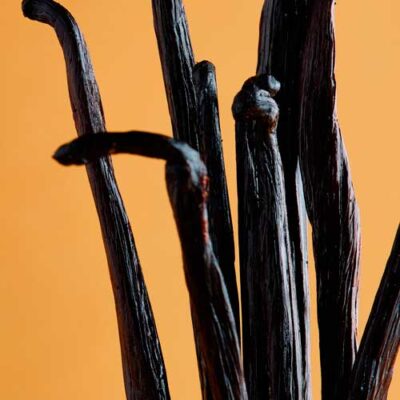 Ваниль таитянская Vanilla Lab