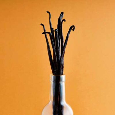 Ваниль таитянская Vanilla Lab